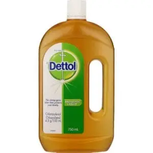DETTOL 750ML REGULAR