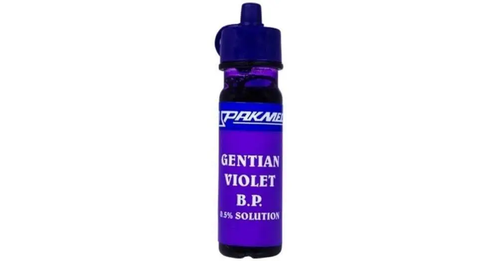 PINNACLE GENTIAN VIOLET 20ML