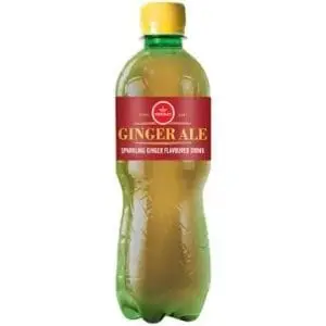 BUDDY 500ML KINGSLEY GINGER
