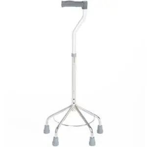 DC WALKING STICK QUAD