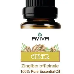 AVIVA ESS OIL 10ML GINGER
