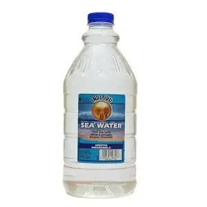 INDLOVU SEA WATER 2L