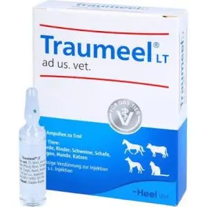 TRAUMEEL LT AD US VET 5ML 5AMP