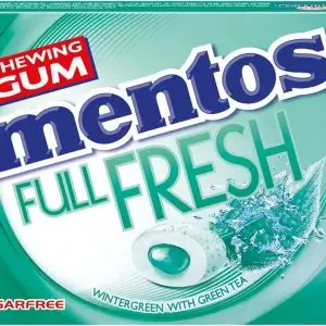 MENTOS GUM PURE WINTERGREEN
