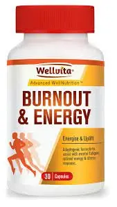 WELLVITA BURNOUT & ENERGY CAPS 30